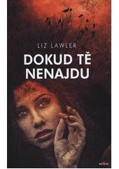 Obálka titulu Dokud tě nenajdu