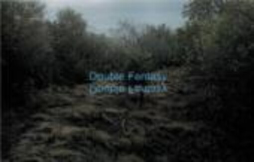 Double Fantasy : [Jan Jedlička, Michal Šeba, Beate Gütschow / texty Petr Nedoma, Marie Rakušanová]