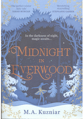 Midnight in Everwood  (odkaz v elektronickém katalogu)