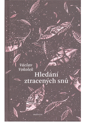 Hledání ztracených snů  (odkaz v elektronickém katalogu)