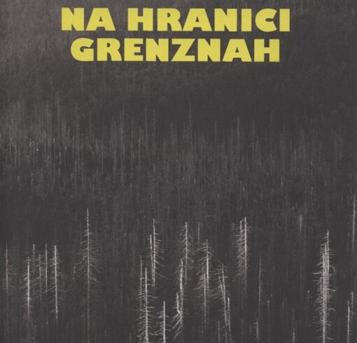 Na hranici : katalog třetího ročníku česko-německého výtvarného sympozia „Na hranici-Grenznach“ věnovaného fenoménu divočiny = Grenznah : Katalog des dritten Deutsch-Tschechischen Künstlersymposiums „Na hranici-Grenznah“ gewidmet dem Phänomen der Wildnis / [autoři Pavel Storch & Tomáš Černý]